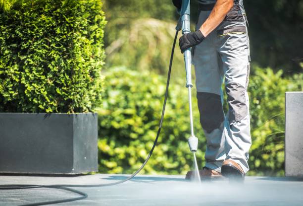 Best Spring Cleaning  in Wesleyville, PA