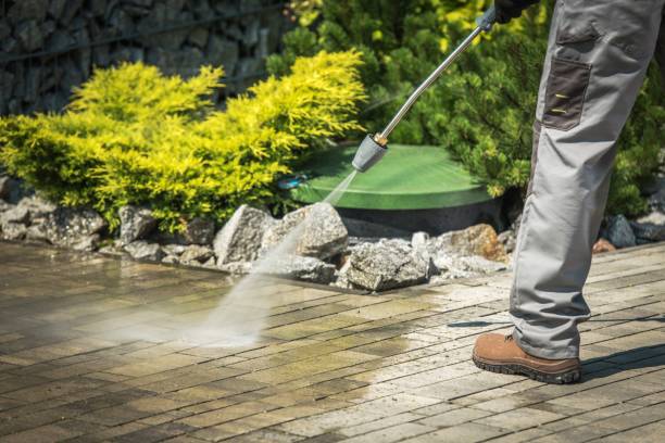 Best Sidewalk and Walkway Cleaning  in Wesleyville, PA