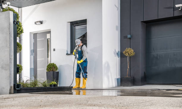 Best Roof Washing  in Wesleyville, PA